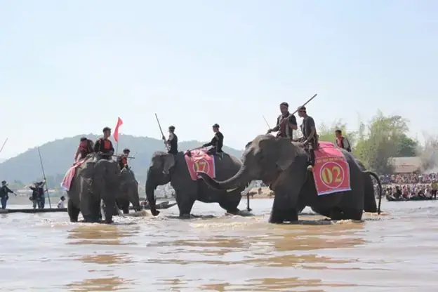 Lễ Hội Đua Voi Thờ Cúng Ai Và Ý Nghĩa Tâm Linh Của Nghi Thức Tây Nguyên Lễ Hội Đua Voi Thờ Cúng Ai Và Ý Nghĩa Tâm Linh Của Nghi Thức Tây Nguyên