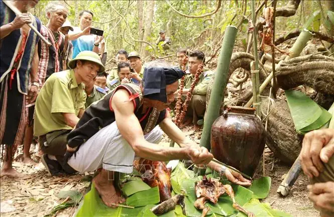 Lời Bài Cúng Thần Rừng: Văn Khấn, Ý Nghĩa Và Nghi Thức Trọn Vẹn Nhất Lời Bài Cúng Thần Rừng: Văn Khấn, Ý Nghĩa Và Nghi Thức Trọn Vẹn Nhất