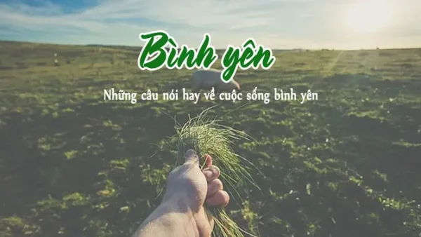 Tổng Hợp Các Lời Cúng Điếu Đám Tang, Câu Phúng Viếng Chân Thành Và Ý Nghĩa Nhất