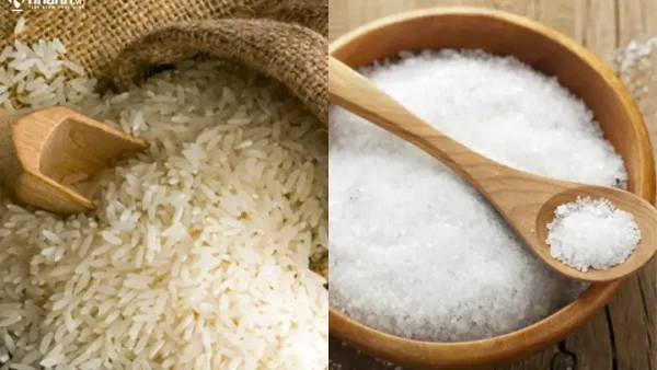 Sau Khi Cúng Khai Trương Xong Cần Làm Gì Để Thu Hút Tài Lộc Và Kinh Doanh May Mắn?