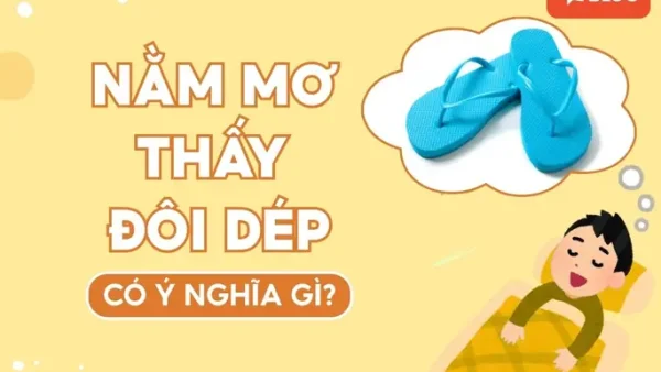 Mất Dép Điềm Báo Gì? Giải Mã Ý Nghĩa Giấc Mơ, Thực Tế Và Con Số May Mắn