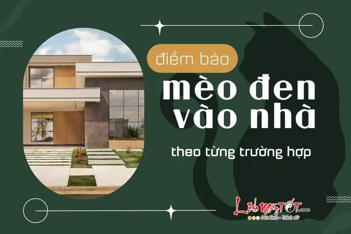 Giải Mã Chi Tiết Hiện Tượng Mèo Đen Vào Nhà Theo Từng Trường Hợp Cụ Thể Giải Mã Chi Tiết Hiện Tượng Mèo Đen Vào Nhà Theo Từng Trường Hợp Cụ Thể
