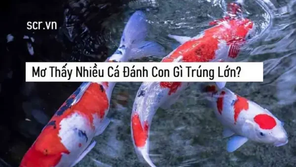 Mơ Bắt Chấy Cho Con Gái Đánh Con Gì? Giải Mã Điềm Báo Và Con Số May Mắn