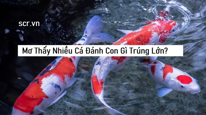 Giải Mã Ý Nghĩa Giấc Mơ Bắt Chấy Cho Con Gái Là Điềm Gì?