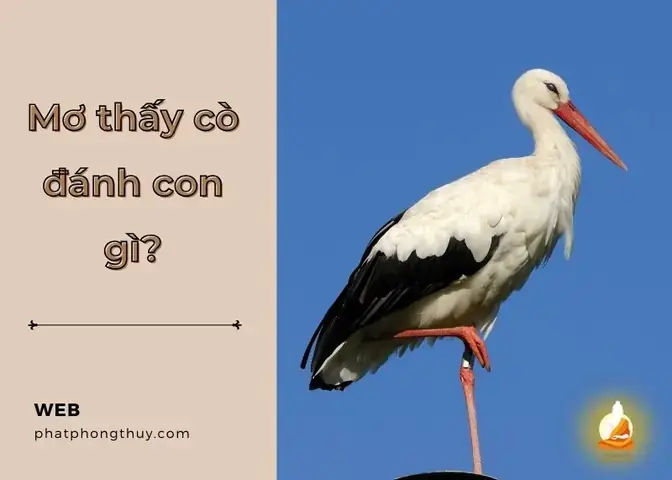 Gợi Ý Các Con Số Đi Kèm Khi Mơ Thấy Bắt Được Số Lượng Cò Cụ Thể Gợi Ý Các Con Số Đi Kèm Khi Mơ Thấy Bắt Được Số Lượng Cò Cụ Thể