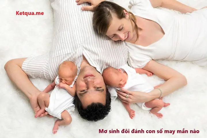 Mơ Thấy 2 Bé Trai Sinh Đôi Đánh Con Gì? Giải Mã Giềm Báo Và Con Số May Mắn