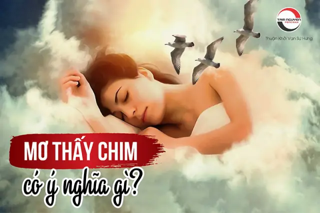 Giải Mã Ý Nghĩa Giấc Mơ Thấy Con Chim Nhỏ Giải Mã Ý Nghĩa Giấc Mơ Thấy Con Chim Nhỏ
