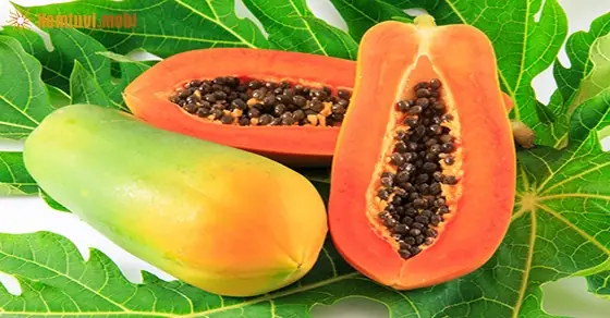 Mơ Thấy Ăn Đu Đủ Chín Đánh Đề Con Gì? Giải Mã Chiêm Bao Và Các Con Số May Mắn