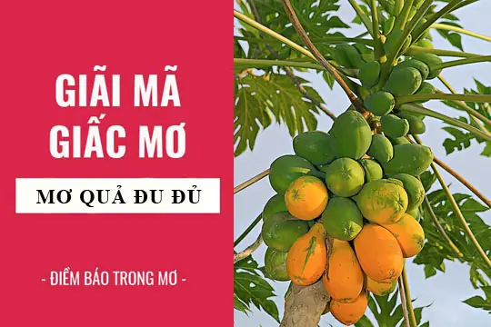 Giải Mã Ý Nghĩa Giấc Mơ Thấy Ăn Đu Đủ Chín Là Điềm Lành Hay Dữ? Giải Mã Ý Nghĩa Giấc Mơ Thấy Ăn Đu Đủ Chín Là Điềm Lành Hay Dữ?