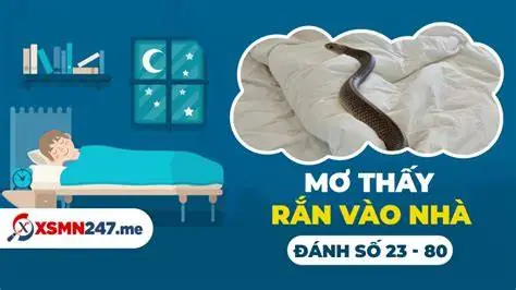Nằm Mơ Thấy Bị Bắn Nhưng Không Chết Đánh Con Gì? Điềm Báo Và Số May Mắn