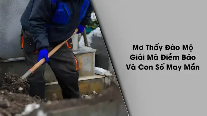 Những Sai Lầm Thường Gặp Khi Giải Mã Giấc Mơ Bốc Mộ Người Thân Những Sai Lầm Thường Gặp Khi Giải Mã Giấc Mơ Bốc Mộ Người Thân