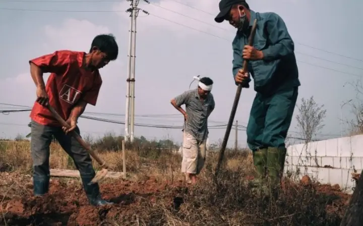 Hình Ảnh Minh Họa Giấc Mơ Bốc Mộ Người Thân Hình Ảnh Minh Họa Giấc Mơ Bốc Mộ Người Thân