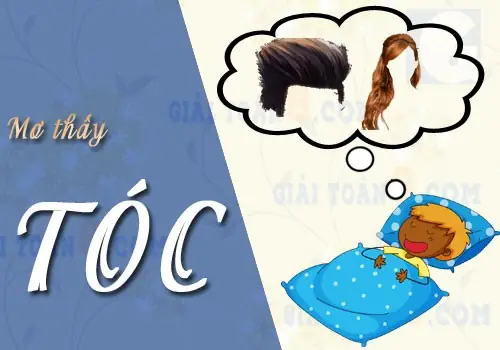 Chiêm Bao Thấy Cái Kéo Cắt Tóc Là Điềm Lành Hay Điềm Dữ? Chiêm Bao Thấy Cái Kéo Cắt Tóc Là Điềm Lành Hay Điềm Dữ?