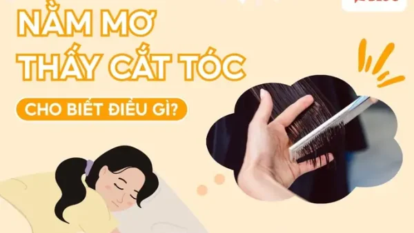 Mơ Thấy Cái Kéo Cắt Tóc Đánh Con Gì? Giải Mã Ý Nghĩa Điềm Báo Và Con Số May Mắn