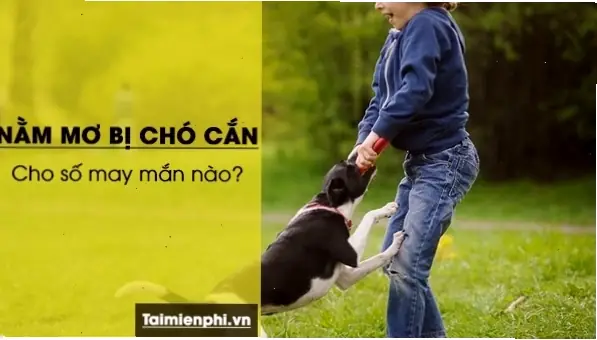 Nam Thanh Niên Ngủ Mơ Thấy Chó Dữ Rượt Đuổi Trong Đêm Nam Thanh Niên Ngủ Mơ Thấy Chó Dữ Rượt Đuổi Trong Đêm