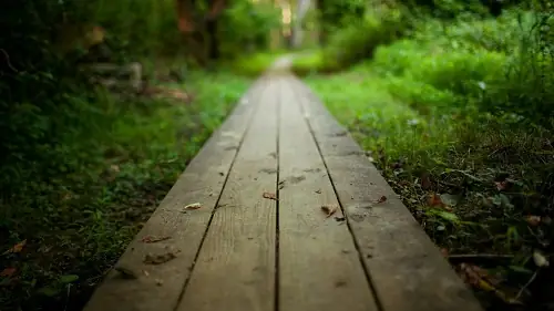 Điềm Báo Từ Giấc Mơ Thấy Con Đường Đang Làm Bị Ngập Nước Hoặc Gập Ghềnh Điềm Báo Từ Giấc Mơ Thấy Con Đường Đang Làm Bị Ngập Nước Hoặc Gập Ghềnh