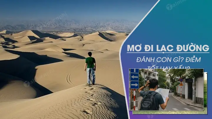 Mơ Thấy Đi Lạc Vào Nghĩa Địa Đánh Con Gì? Giải Mã Điềm Báo Và Số May Mắn