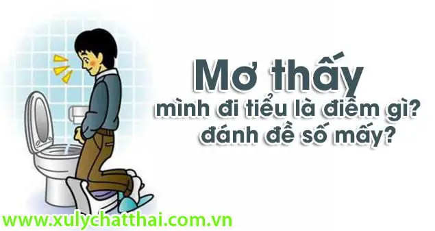Làm Thế Nào Để Giải Tỏa Cảm Giác Xấu Hổ, Lo Âu Sau Khi Tỉnh Dậy Từ Giấc Mơ Tế Nhị?