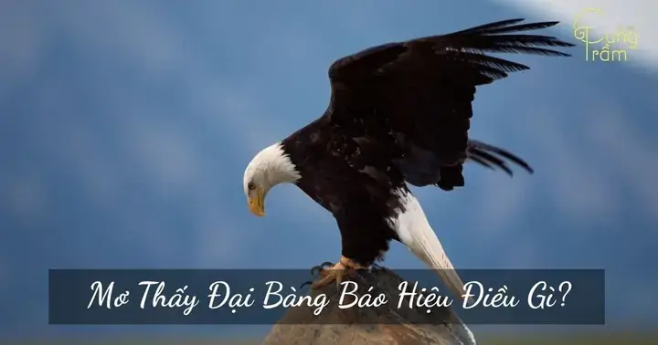 Những Con Số Tài Lộc Nào Liên Quan Đến Các Biến Thể Khác Của Giấc Mơ?