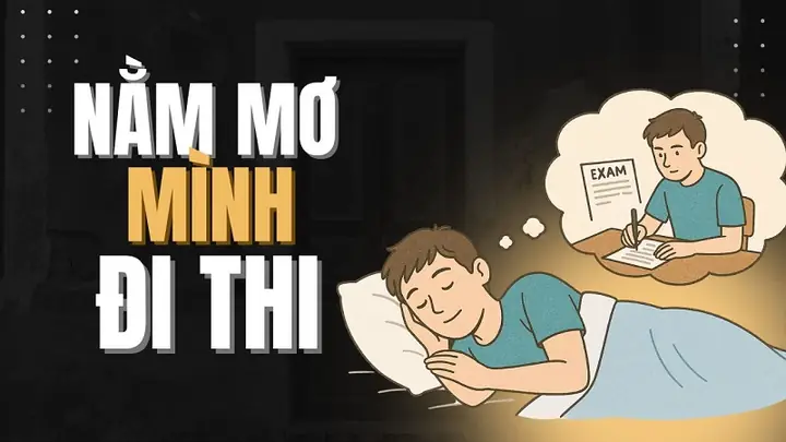 Tại Sao Bạn Hay Gặp Giấc Mơ Bị Áp Lực Thi Cử Khi Đang Đi Làm? Tại Sao Bạn Hay Gặp Giấc Mơ Bị Áp Lực Thi Cử Khi Đang Đi Làm?