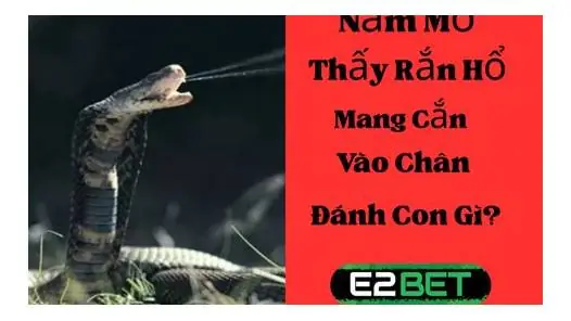 Mơ Thấy Leo Lên Nóc Nhà Đánh Con Gì? Giải Mã Ý Nghĩa Và Con Số May Mắn