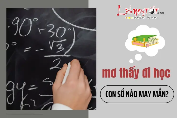 Người Làm Kinh Doanh Mơ Thấy Đi Học Hoặc Đến Trường Có Ý Nghĩa Gì? Người Làm Kinh Doanh Mơ Thấy Đi Học Hoặc Đến Trường Có Ý Nghĩa Gì?