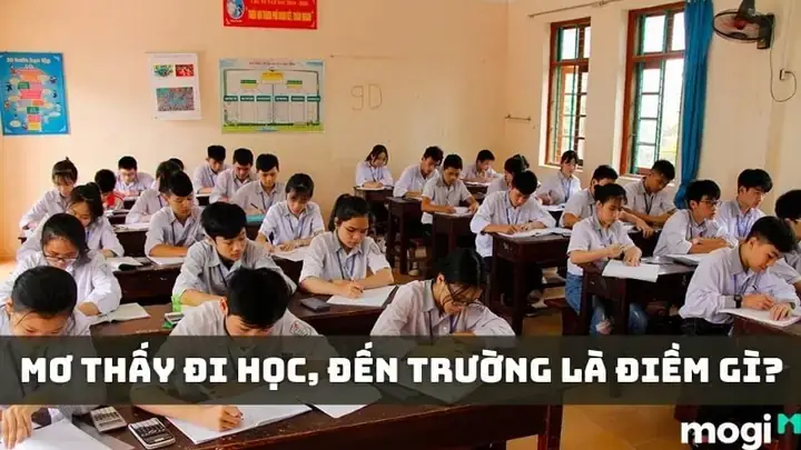 Mơ Thấy Lớp Học Đông Người Đánh Con Gì, Số Mấy May Mắn Nhất? Mơ Thấy Lớp Học Đông Người Đánh Con Gì, Số Mấy May Mắn Nhất?