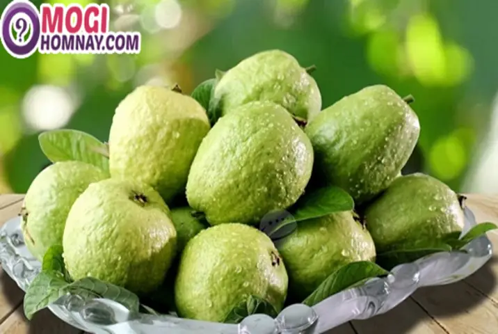 Mơ Thấy Mình Đi Hái Ổi Đánh Con Gì? Giải Mã Giấc Mơ Và Con Số Tài Lộc