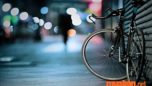Nằm Mơ Thấy Ngồi Sau Xe Đạp Đánh Con Gì? Giải Mã Điềm Báo Và Con Số May Mắn