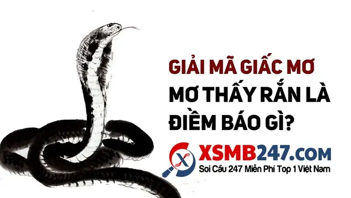 Làm Sao Để Ghi Nhớ Trọn Vẹn Chi Tiết Giấc Mơ Nhằm Tra Cứu Chính Xác Hơn?