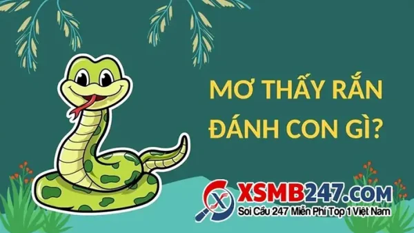 Mơ Thấy Rắn 2头 Cắn Đánh Con Gì? Giải Mã Điềm Báo Và Con Số May Mắn Chính Xác