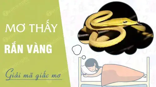 Góc Nhìn Tâm Lý Học Hiện Đại Về Hiện Tượng Nằm Mơ Thấy Loài Rắn Góc Nhìn Tâm Lý Học Hiện Đại Về Hiện Tượng Nằm Mơ Thấy Loài Rắn