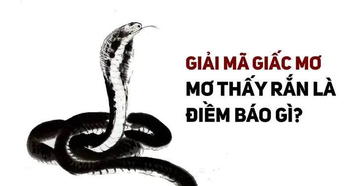 Tâm Trạng Và Môi Trường Thực Tế Tác Động Thế Nào Đến Giấc Mơ? Tâm Trạng Và Môi Trường Thực Tế Tác Động Thế Nào Đến Giấc Mơ?