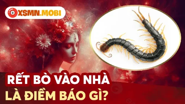 Mơ Thấy Rết Bò Lên Người Là Điềm Gì, Hên Hay Xui Và Đánh Con Gì?