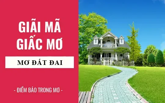 Mơ Thấy Tranh Chấp Đất Đai Đánh Con Gì? Giải Mã Điềm Báo Và Con Số May Mắn Chính Xác