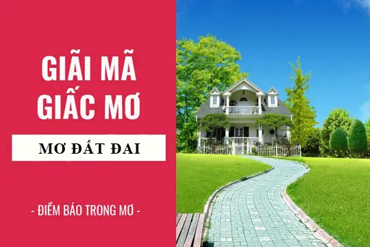 Điềm Báo Xấu Khi Mơ Thấy Tranh Chấp Đất Đai Dẫn Đến Kiện Tụng Là Gì? Điềm Báo Xấu Khi Mơ Thấy Tranh Chấp Đất Đai Dẫn Đến Kiện Tụng Là Gì?