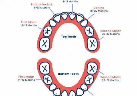 Mơ Thấy Trẻ Con Mọc Răng Là Điềm Gì? Giải Mã Chi Tiết Các Tình Huống