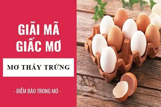 Nằm Mơ Thấy Trứng Gà Nở Thành Con Gà Con Có Điềm Báo Gì? Nằm Mơ Thấy Trứng Gà Nở Thành Con Gà Con Có Điềm Báo Gì?
