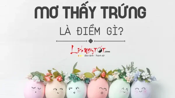 Mơ Thấy Trứng Gà Nở Thành Con Là Điềm Gì, Đánh Con Số Mấy Để Gặp May Mắn?