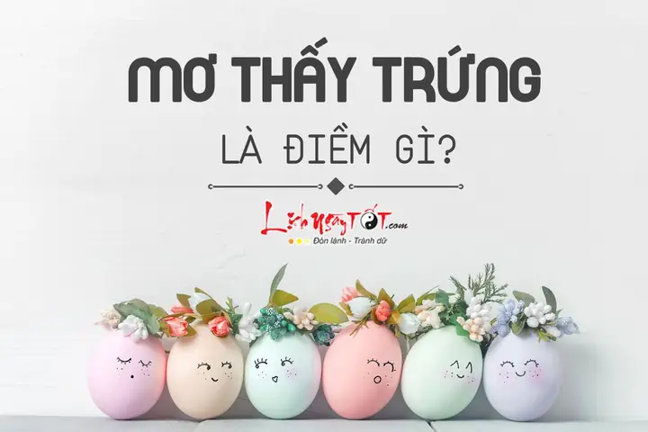 Mơ Thấy Nhặt Được Trứng Gà Là Điềm Lành Hay Dữ? Mơ Thấy Nhặt Được Trứng Gà Là Điềm Lành Hay Dữ?