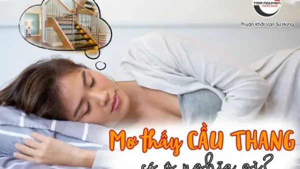 Mơ Thấy Vấp Cầu Thang Là Điềm Báo Gì? Giải Mã Ý Nghĩa Lành Dữ Và Con Số May Mắn