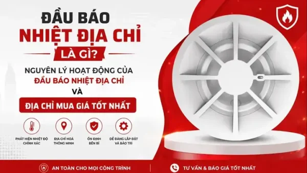 Mua Dầu Và Hương Cúng Dường: Ý Nghĩa, Công Đức Sâu Sắc Và Cách Thực Hiện Trọn Phước Báu