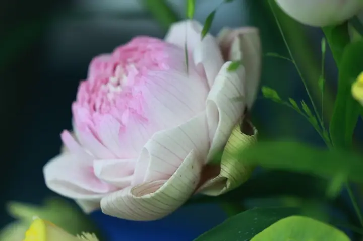 Mua Đồ Cúng Ngày 5 Tháng 5 Cần Chuẩn Bị Những Gì Để Trọn Vẹn Phong Tục Truyền Thống?