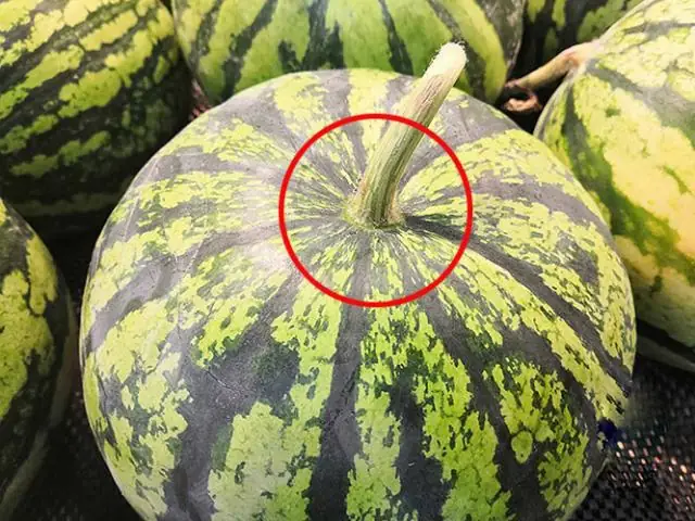 Mua Thịt Lợn Gì Cúng? Gợi Ý Các Phần Thịt Ngon Và Chuẩn Lễ Nhất Mua Thịt Lợn Gì Cúng? Gợi Ý Các Phần Thịt Ngon Và Chuẩn Lễ Nhất