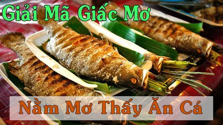Hình Ảnh Minh Họa Cho Điềm Báo Rủi Ro Khi Ăn Cá Hình Ảnh Minh Họa Cho Điềm Báo Rủi Ro Khi Ăn Cá