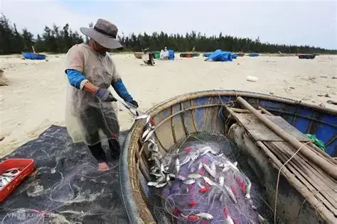 Nằm Mơ Bắt Được 2 Con Ba Ba Đánh Con Gì Và Mang Ý Nghĩa Gì?