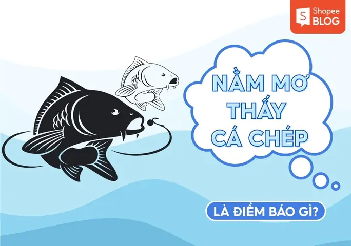 Nằm Mơ Bắt Được Cá Chép Là Điềm Báo Lành Hay Dữ Trong Phong Thủy?