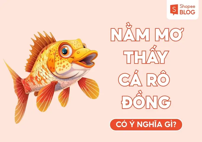 Mơ Thấy Bắt Được Nhiều Lươn Đánh Con Gì? Giải Mã Điềm Báo Và Con Số Tài Lộc Mơ Thấy Bắt Được Nhiều Lươn Đánh Con Gì? Giải Mã Điềm Báo Và Con Số Tài Lộc