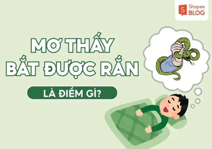 Mơ Thấy Bắt Được Nhiều Lươn Đánh Con Gì? Giải Mã Điềm Báo Và Con Số Tài Lộc Mơ Thấy Bắt Được Nhiều Lươn Đánh Con Gì? Giải Mã Điềm Báo Và Con Số Tài Lộc