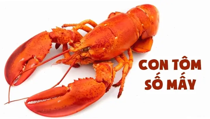 Giấc Mơ Bắt Được Tôm Tép Có Mang Lại Lời Cảnh Báo Nào Không? Giấc Mơ Bắt Được Tôm Tép Có Mang Lại Lời Cảnh Báo Nào Không?